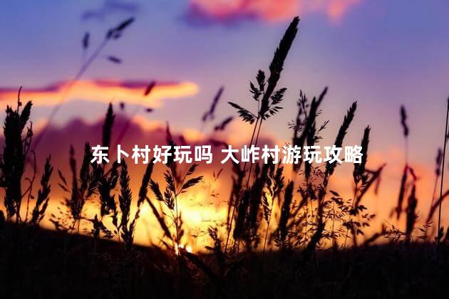 东卜村好玩吗 大岞村游玩攻略